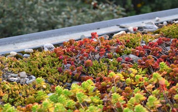 the cost of Minsted green roof installation