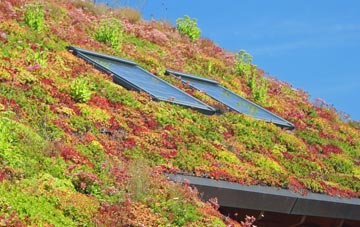 Minsted living roof systems
