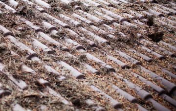 Minsted roof cleaning companies