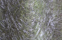 Minsted fibreglass roof work